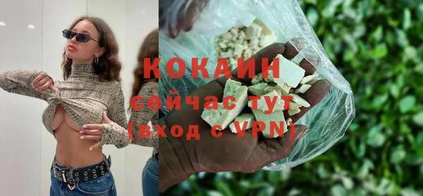 шишки Медногорск