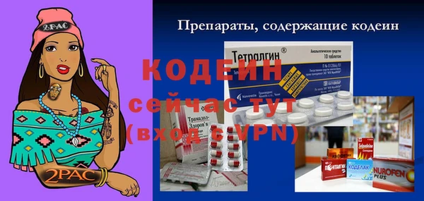 молекула духа Новозыбков