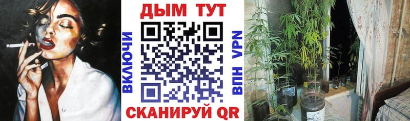 сайты даркнета формула  Усть-Кут  МАРИХУАНА марихуана  что такое наркотик 